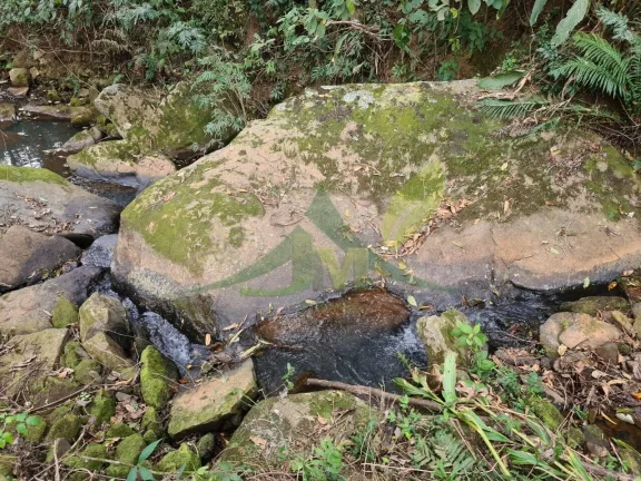 Imagem Lindo sítio à Venda em Piracaia
