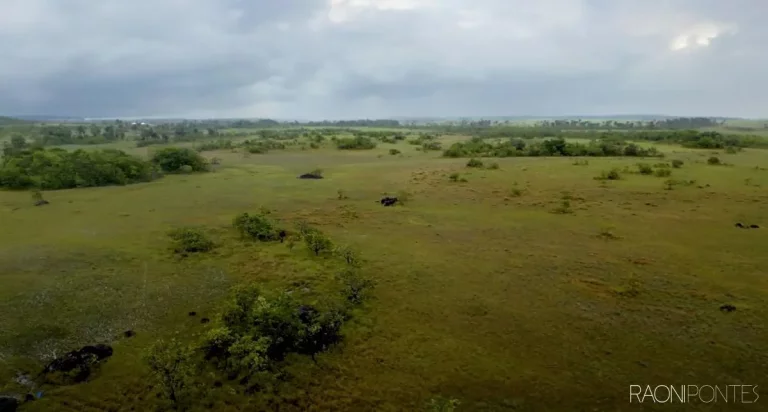 Imagem Fazenda à Venda, 5.800 m² em Zona Rural