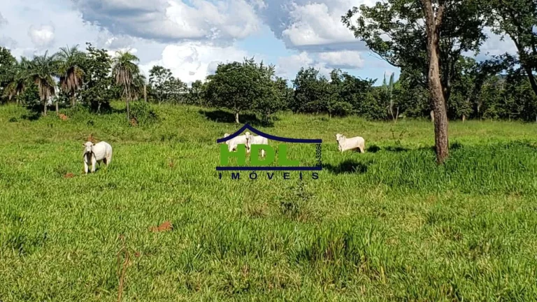 Imagem Fazenda com 351 Alqs dupla Aptidão em Piranhas/GO