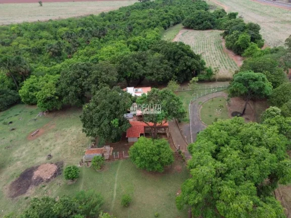 Imagem Fazenda à venda proximo ao Jockey Clube de 14,5 Alqueires com aproveitamento de 10 Alqueires em Uberaba saida para a Cidade de Campo Florido.