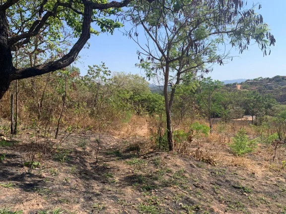Imagem EXCELENTE CHÁCARA DE 5.530 M², EM JUATUBA!