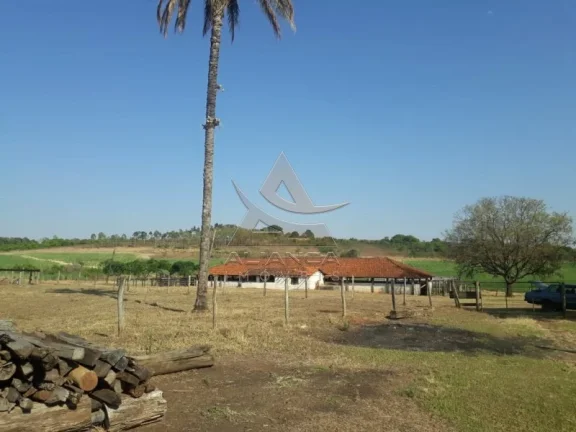 Imagem Fazenda - Cajuru - Zona Rural