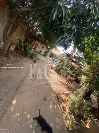 Imagem Chácara para Venda em Iracemápolis, Bela Vista, 3 dormitórios, 3 banheiros, 3 vagas