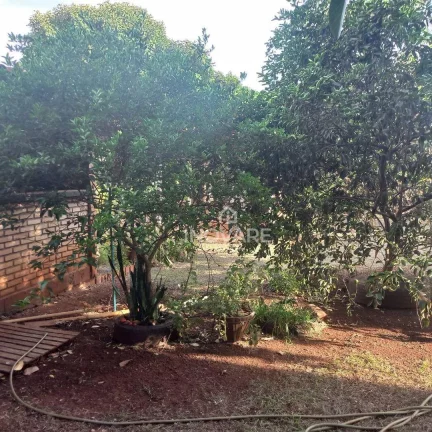Imagem Rancho com 2 dormitórios à venda por R$ 480.000,00 - Jardim Morumbi - Itumbiara/GO