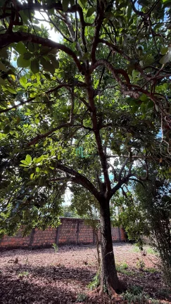 Imagem EXCELENTE CHÁCARA NO CONDOMINIO PARQUE DO MIRANTE NA PARTE ALTA DO CONDOMINIO