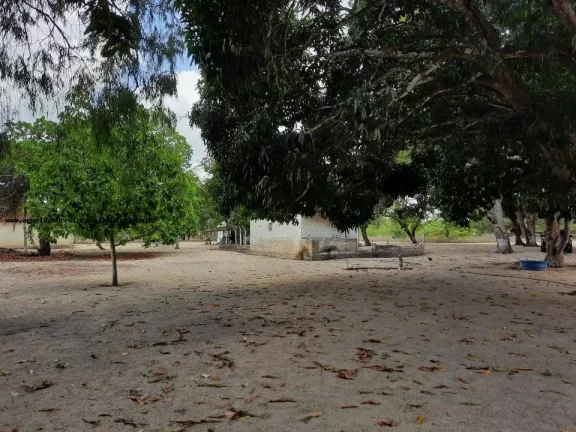 Imagem Granja para Venda em Macaíba, Centro, 2 dormitórios, 3 banheiros, 9 vagas
