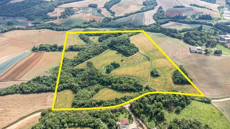 Chácara com 6 alqueires em Campo Magro