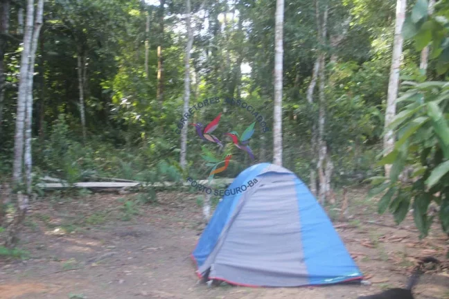 Imagem SÍTIO EM TRANCOSO - PORTO SEGURO - BAHIA