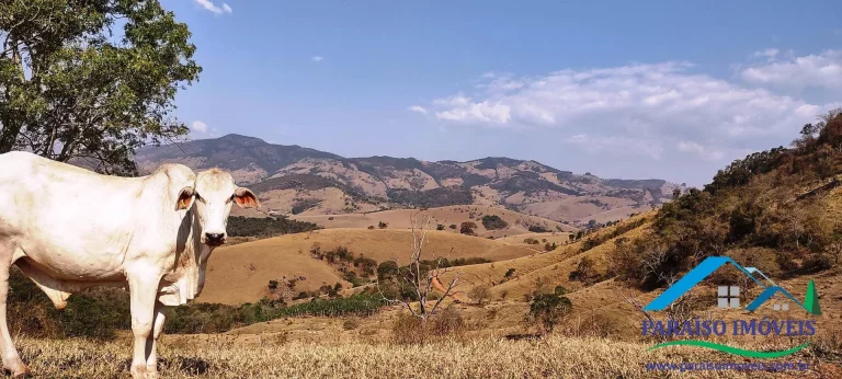 Imagem Espetacular Área Rural no Coração da Serra da Mantiqueira!