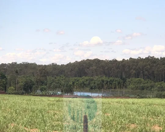 Imagem Fazenda Palmira 773 alqueires, a 60 km de Ribeirão Preto - SP, estrutura, cana e muita água - Serra Azul - SP - Brasil