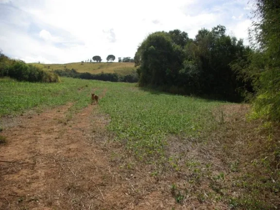 Imagem SÍTIO À VENDA 43,56 HECTARES R$ 1.900.000 - ZONA RURAL - JACUI/MG