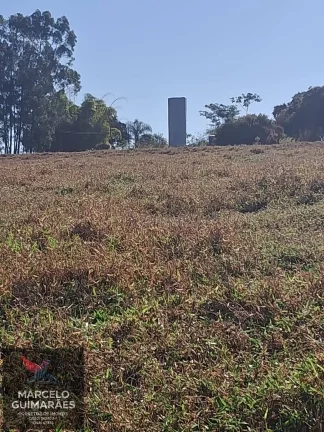 Imagem Propriedade Rural em Guaimbê, SP - 12 Alqueires Sitio Valenciano