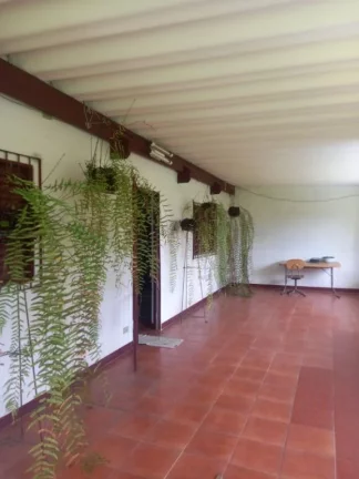 Imagem Chácara com 2 dormitórios à venda, 900 m² por R$ 550.000,00 - Parque Palmeiras - Suzano/SP