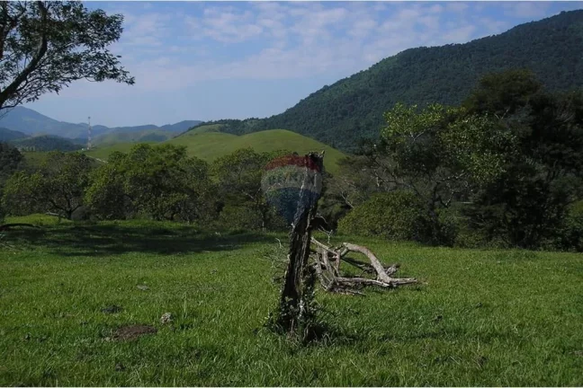 Imagem "Adquira Sua Fazenda dos Sonhos na Agro Brasil, RJ!"