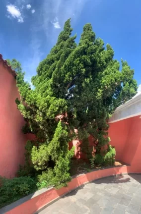 Imagem Casa com 2 dormitórios à venda, 156 m² por R$ 490.000,00 - Jardim Estela - Poá/SP