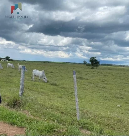 Imagem Fazenda região de Avaré SP