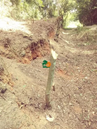 Imagem Terreno para Venda em São Roque, Planalto Verde