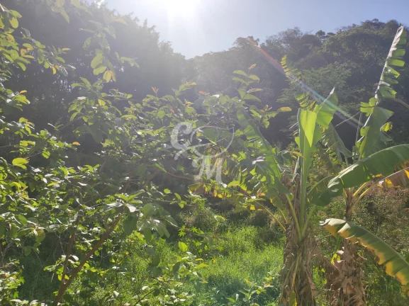 Imagem Chácara com 6.300m²