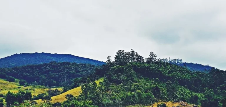 Imagem Terreno à venda no bairro Cachoeirinha - Bom Jesus dos Perdões/SP