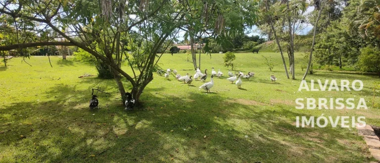 Imagem Terreno à venda, 1000 m² por R$ 485.000,00 - Santa Inês - Itu/SP