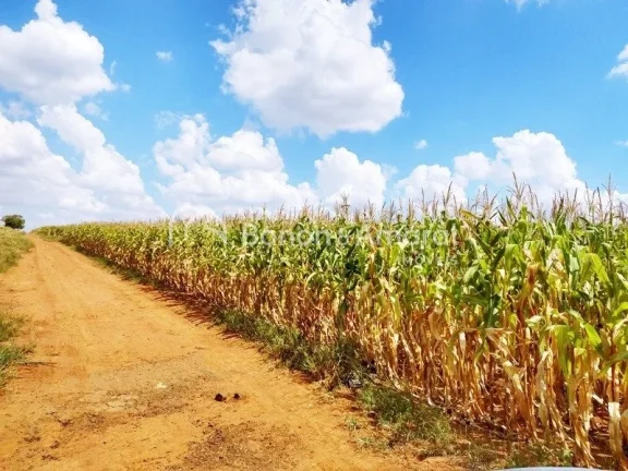 Imagem Venda, área industrial, bairro Bonfim, em Paulínia!
Zoneamento ZD 1 (zona de desenvolvimento indus...