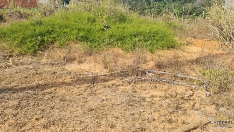 Imagem Terreno de rua a Venda no Santa Eliza - Cafezal V - Itupeva/SP
