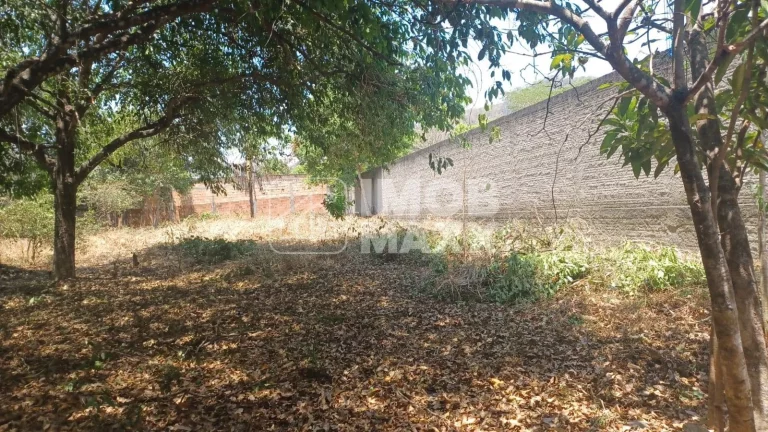Imagem Lote à venda no Centro de Cavalcante, 1121,58m² de área útil. Oportunidade por R$500 mil!