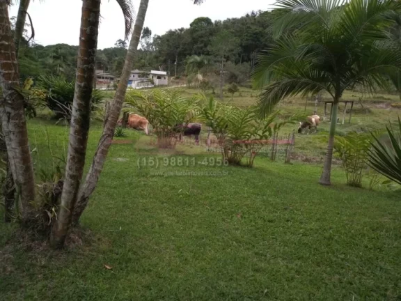 Imagem Sítio a venda em Jacupiranga, estrada do Padre André, interior de São Paulo. O Sítio mede 7, 2 h...