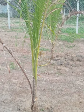 Imagem LOTES Á VENDA NO CONDOMÍNIO RECANTO DA FIGUEIRA EM JACAREÍ-SP