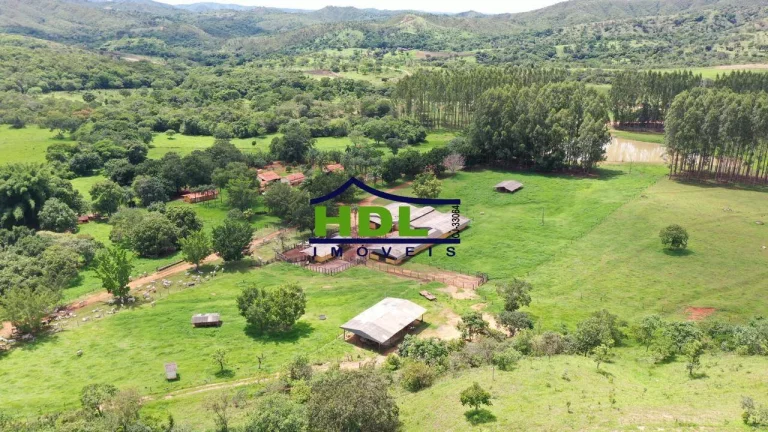 Imagem Fazenda Top de 165 Alqs em Padre Bernardo GO