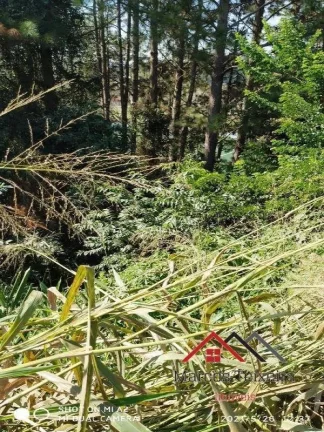 Imagem TERRENO EM CONDOMINIO LAGO DO SOL REF 1866