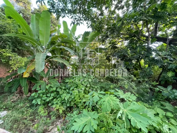 Imagem Casa Ampla à Venda em Olinda com Terreno de 1.500m²
