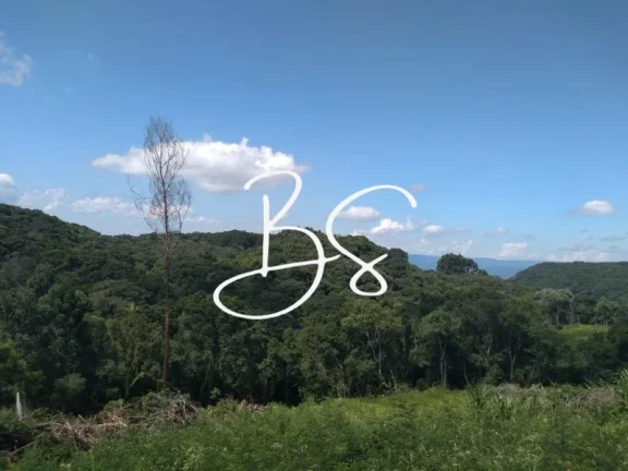 Imagem SITIO RURAL em IGREJINHA - RS, Serra Grande
