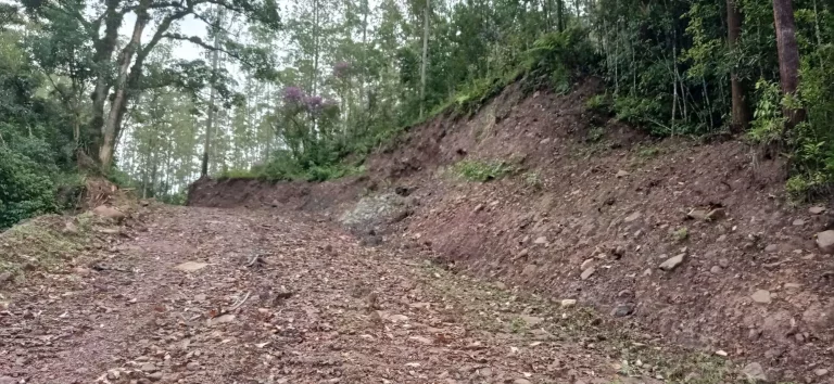 Imagem Área rural à venda em Santa Rosa de Lima/SC
