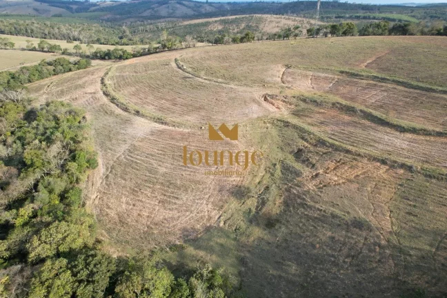 Imagem Área Industrial à venda em Centro (Cocaes) - Sarapuí/SP