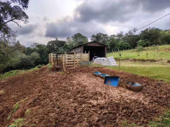Imagem Chacara, Hectares em osorio, chacara em osorio, sitio osorio