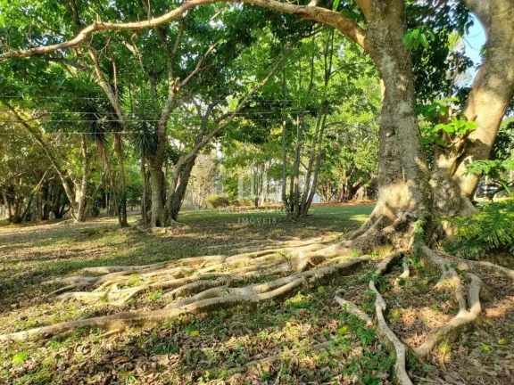 Imagem Sitio de 56.720m² 3 Dorms, 1 Suíte, Escritura, nascente, Piscina, 1 ha com Pinos 15 anos, Poço Semi-Artesiano(2.000l/h), 350 mts de testada, Alambrado, em Bragança Paulista