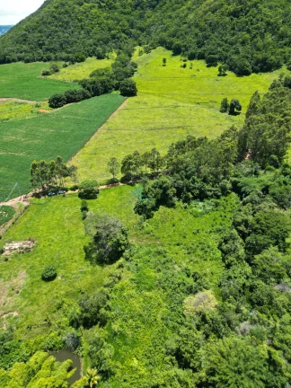 Imagem SÍTIO DE 24,99 ALQUEIRES (60,49 hectares) em RIFAINA/SP COM ESTRUTURA COMPLETA, 03 CASAS SIMPLES, E MUITA ÁGUA..