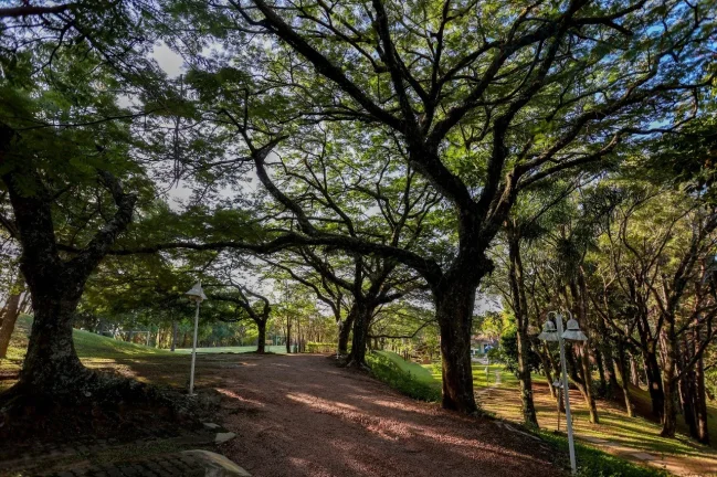 Imagem SITIO ALTO PADRÃO PARA VENDA NA ABADIA - LOUVEIRA SP