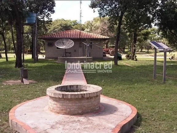 Imagem Fazenda à Venda no Paraguai por 900 dólares por hectare com Alto Potencial Pecuário