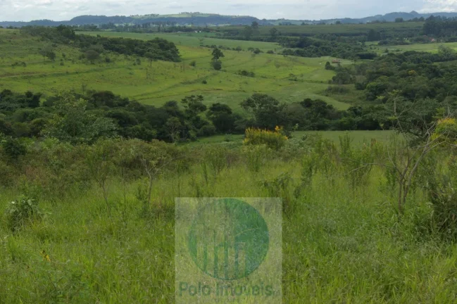 Imagem Fazenda em Cajuru 72 alqueires com soja, gado, braquiária e estrutura, 75 km de Ribeirão Preto - SP