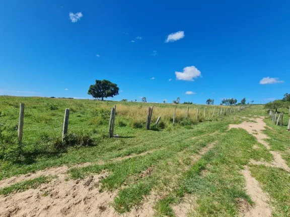 Imagem Vendo em Araruama fazenda 52 alqueires E 350 cabeças de gados.