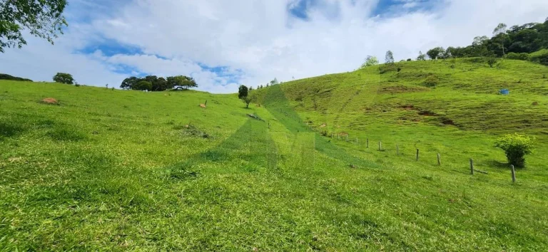 Imagem Sítio a venda em Piracaia com 5 Alqueires
