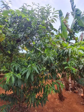 Imagem CHÁCARA COMPLETA NO JARDIM CANANEIA