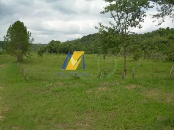 Imagem Vendo Terreno em Suzano - SP