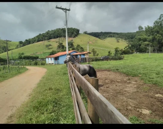 Imagem CUNHA/SP: SÍTIO COMPLETO COM 1,5 ALQUEIRE! Oportunidade Única: Seu Refúgio na Roça em Cunha!