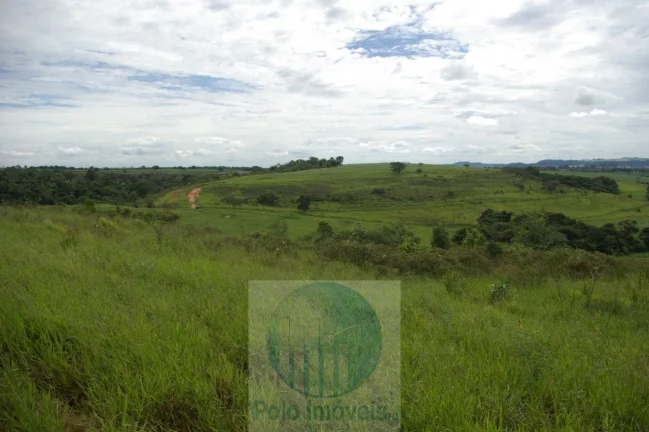 Imagem Fazenda em Cajuru 72 alqueires com soja, gado, braquiária e estrutura, 75 km de Ribeirão Preto - SP