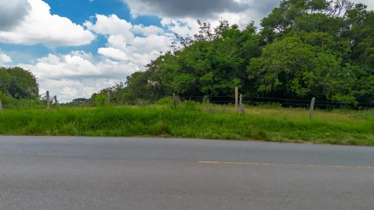 Imagem Terreno Santa Felicidade para construtores e investidores!