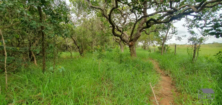 Imagem AREA RURAL em ESMERALDAS - MG, ANDIROBA