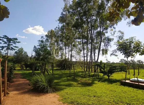 Imagem Excelente Chácara, 15.5 Ha, formada,